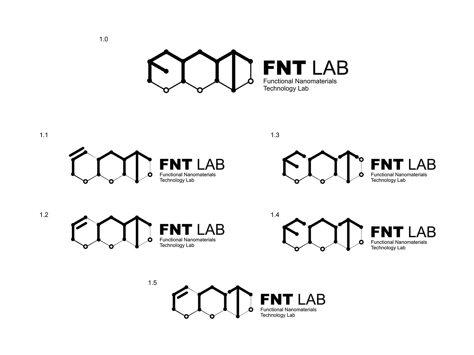 Logo of Nanotechnology Laboratory FNTLab